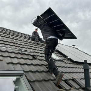 Ilustración_sin_título 593